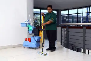 Cleaning 219 1 - Fidelity ADT - South African Home & Commercial Security