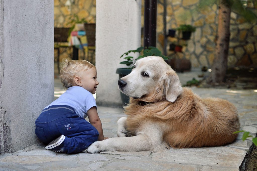 baby and dog outside