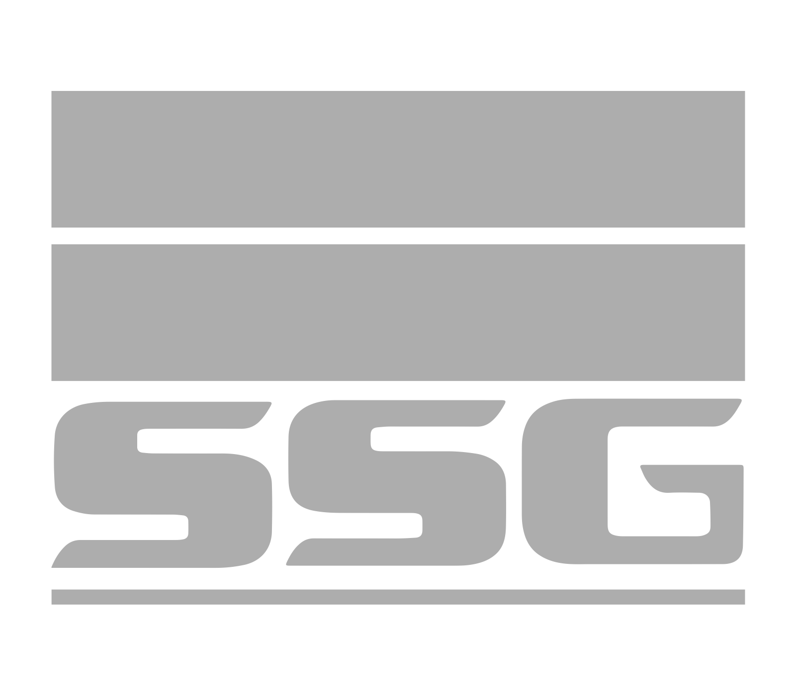 SSG HOLDINGS NO NAME- RGB - Fidelity ADT - South African Home & Commercial Security