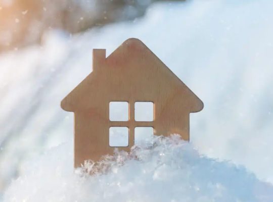 home winter