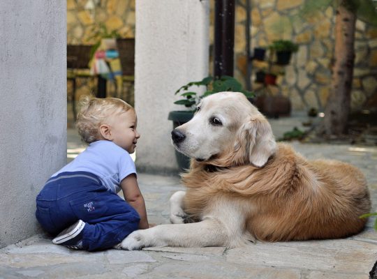 baby and dog outside